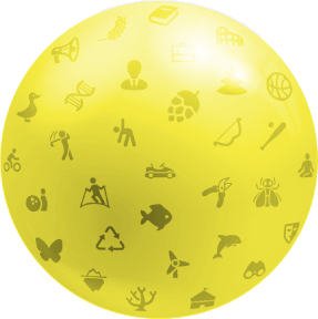 camp types