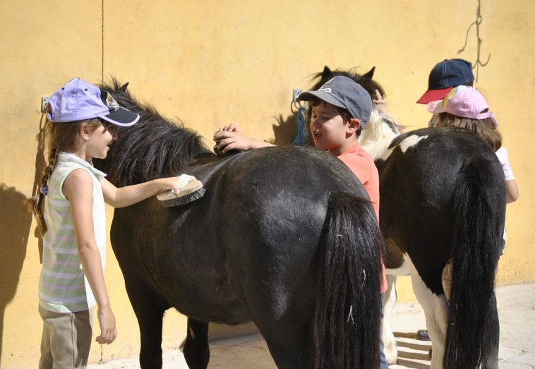 Ecuestre Summer Camp