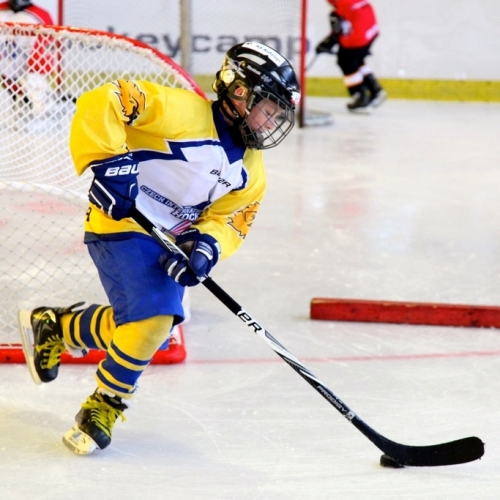 Czech International Hockey Camp