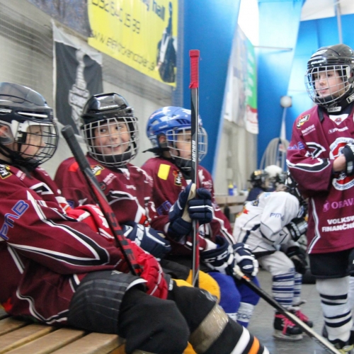 BP Hockey Viena