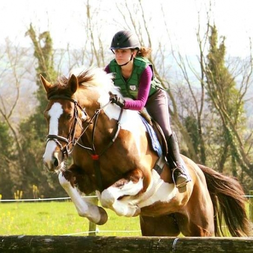 Crossogue Equestrian riding camps